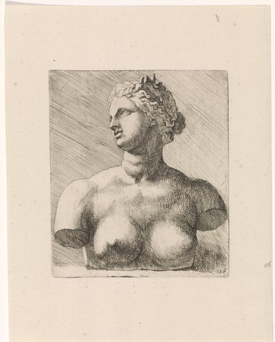 Busta Venuše Medicejské, vlevo Studie pro kreslicí knihu podle klasických soch a postav od Anthonyho van Dycka (název série) od Augustinus Terwesten (I)