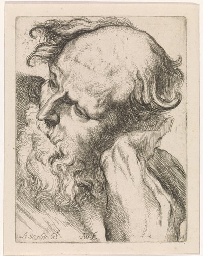 Hlava starého muže (Joseph) Studie pro kreslicí knihu podle klasických soch a postav od Anthonyho van Dycka (název série) od Augustinus Terwesten (I)