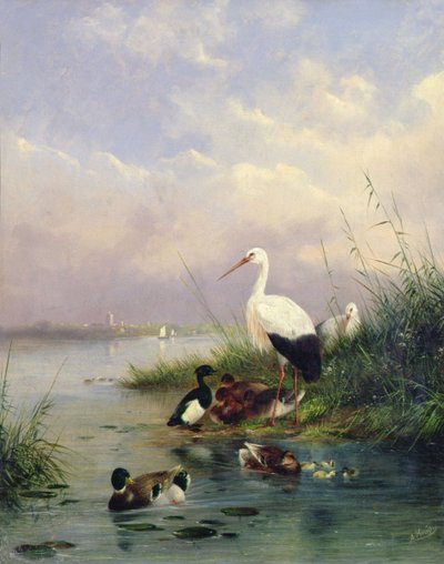 Rodina divokých kachen, dva čápi a rodina chocholatých kachen (pár 77886) od Augustus Knip