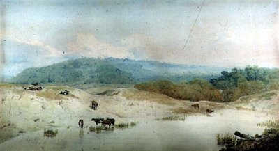 Pohled na Yorkshire, řeka a dobytek, (kresba) od Augustus Wall Callcott
