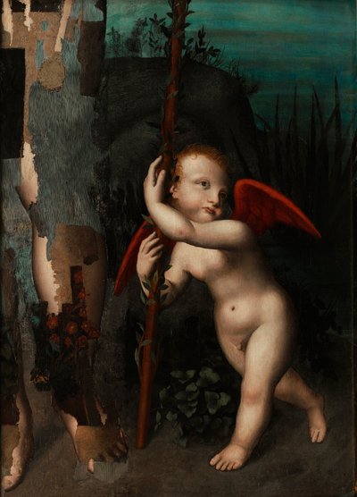 Amor s myrtou od Aurelio Luini