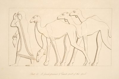 Vězeň a velbloud, ilustrace z Monuments of Niniveh, 1849 od Austen Henry Layard