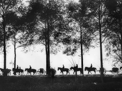 Silueta pohledu na australské dělostřelecké stroje naložené municí postupující podél Ypres Road, 25. září 1917 od Australian Photographer