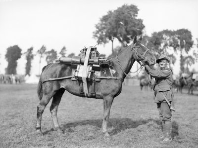 Australský voják, 244 Driver F W Stephenson, 2. australský kulometný prapor, se spřežením nabitým kulometem v australské výcvikové škole smečky v Morbecque, 29. srpna 1917 od Australian Photographer