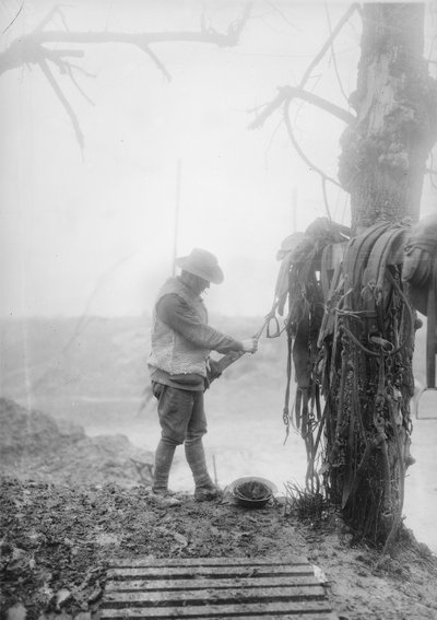 Neznámý australský dělostřelecký řidič čistil bláto z postrojů svých týmů v ubytovně poblíž Mametz, prosinec 1916 od Australian Photographer