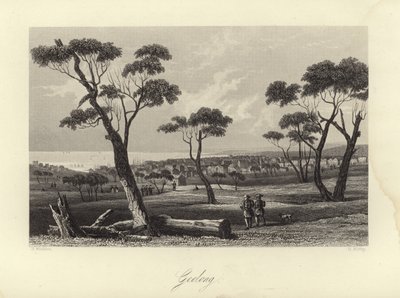 Geelong od Australian School