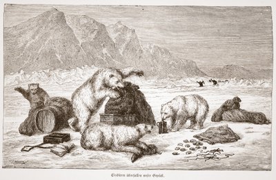 Lední medvědi útočí na naši hospodu se zavazadly. Vídeň 1876 (rytina) od Austrian School