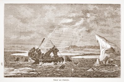 Boj s mrožem, 1876 od Austrian School