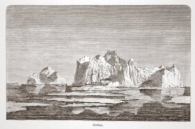 Ledovce s Tegetthoffem, 1876 od Austrian School