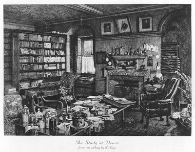 The Study at Down, pub. 1882 (rytina) od Axel (after) Haig