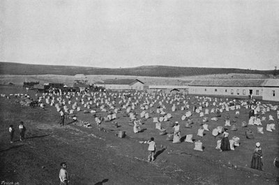 Terreiro para seccar o Kavárna, sušení a balení kávy, 1895 od Axel Frick