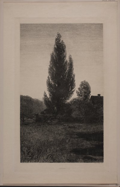 Letní noc od Axel Holm