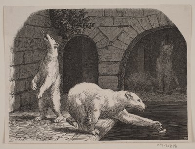 Medvědi v Jardin des Plantes od Axel Theodor Kittendorff