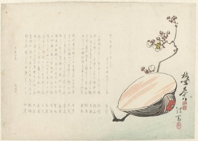 Shell od Ayaoka Yûshin