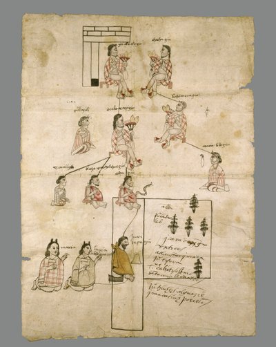 Page of Aztec Land Record, c.1575 (inkoust na papíře) od Aztec