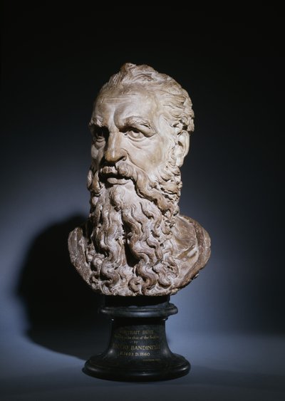 Studie hlavy svatého Pavla, kolem roku 1535 (terakota) od Baccio Bandinelli