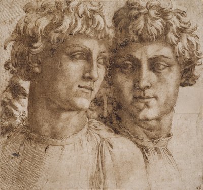 Dvě studie hlavy mládeže, c.1550 od Baccio Bandinelli