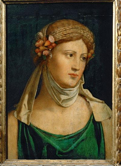 Ceres, bohyně zemědělství... od Baldassarre Peruzzi