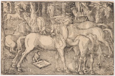 Skupina sedmi koní, 1534. od Baldung