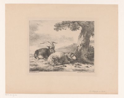 koza a ovce od Balthasar Paul Ommeganck