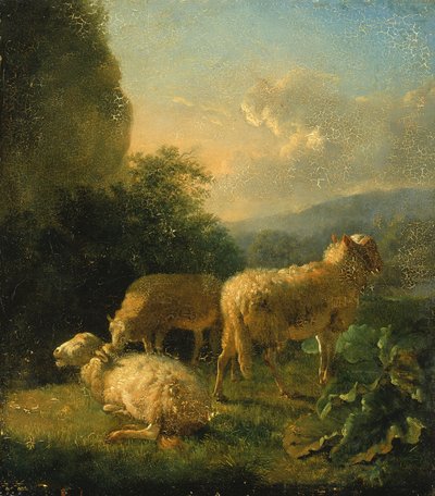 Ovce, konec 18.-začátek 19. století. od Balthasar Paul Ommeganck