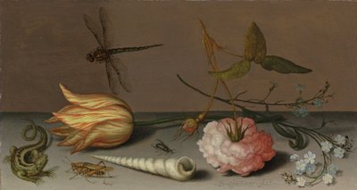Tulipán, karafiát, sprška pomněnek, s mušlí, ještěrka a kobylka, na římse, vážka v letu od Balthasar van der Ast