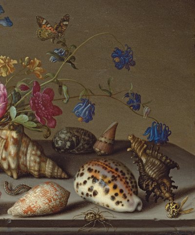 Květiny, mušle a hmyz na kamenné římse od Balthasar van der Ast