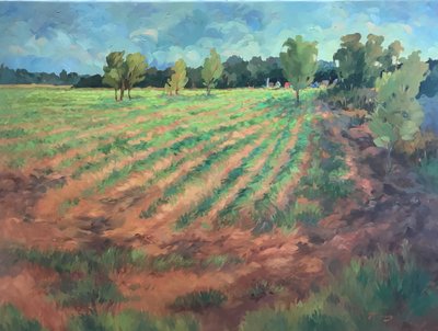 Časné ráno, asi 1980-2000 (olej na plátně) od Barbara Cleary