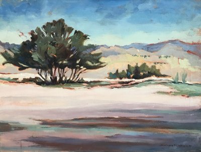 Pohled na Georgii, asi 1980-95 (olej na plátně) od Barbara Cleary