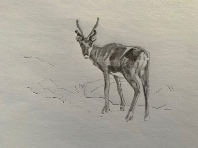 Sob, 2019 od Barbara Hoogeweegen