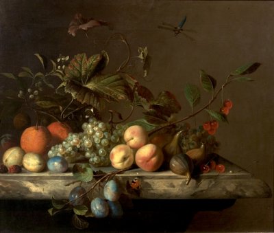 Ovocný kousek s vážkou, 1692 od Barend or Bernardus van der Meer