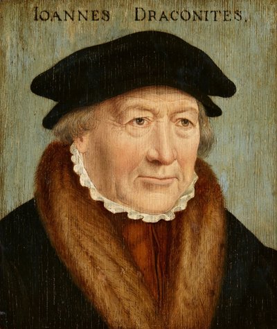 Portrét Johannese Draconita od Bartholomaeus Bruyn the Elder