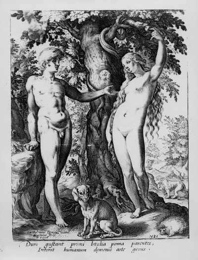 Adam a Eva, vyryl Hendrik Goltzius, 1585 od Bartholomaeus Spranger