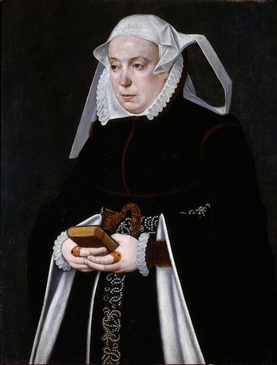 Portrét ženy, asi 1560-70 (olej na desce) od Bartholomaus the Younger Bruyn