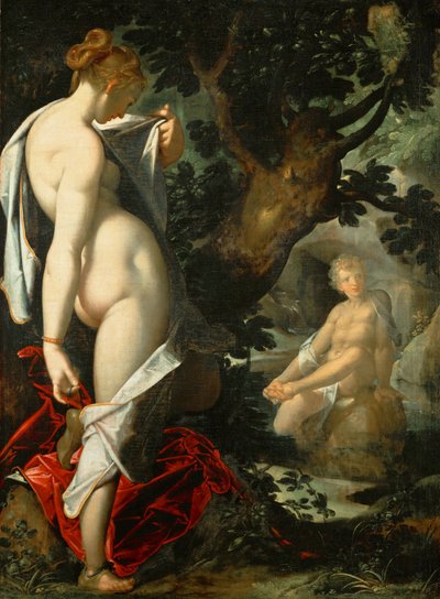 Německy: Hermaphroditus und die Nymphe Salmacis Hermaphroditus a nymfa Salmacis od Bartholomeus Spranger