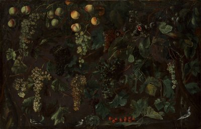 Vinná réva a ovoce, se třemi konipasy, ca. 1615-18. od Bartolomeo Cavarozzi