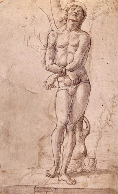 Svatý Šebestián, cca 1475, kresba Bartolomeo Montagna (cca 1450-1523), pero a hnědá tuš, s hnědým praním, cm 20x15, Itálie od Bartolomeo Montagna