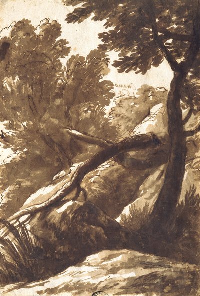 Zalesněná krajina od Bartolomeo Torregiani