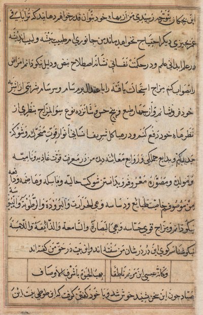 Stránka z Příběhů papouška Tuti-nama: textová stránka, c. 1560. od Basavana