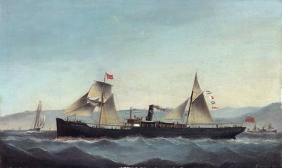 S.S. Glanrheidol od Basi Ivancovich