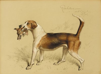 Odškodnění od Basil J. Nightingale