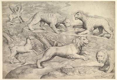 Šest zvířat, včetně lvů, tygra, leoparda, griffina a kozy, ca. 1530-61. od Battista Franco Veneziano