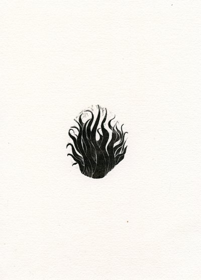 Oheň, 2017, (dřevoryt na papíře) od Bella Larsson