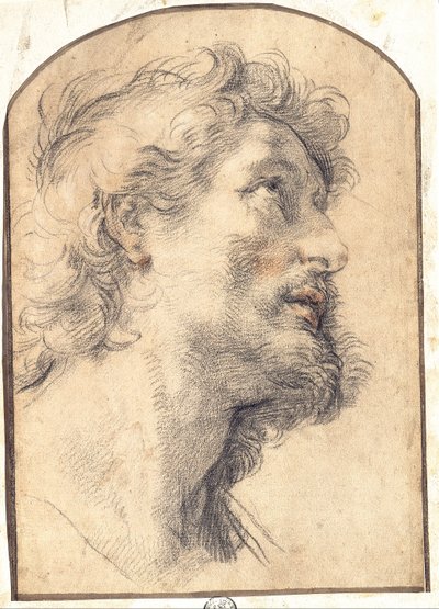 Studie hlavy svatého Crispina od Benedetto Luti