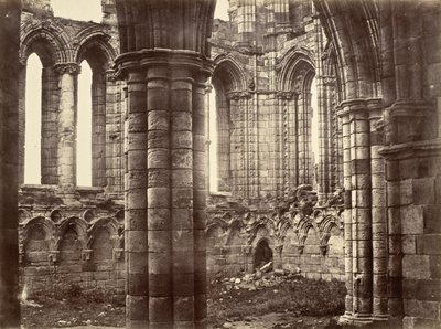 Opatství Whitby, Yorkshire, North Transept od Benjamin Brecknell Turner