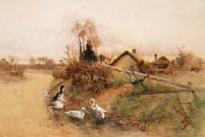 Dablující kachny od Benjamin D. Sigmund