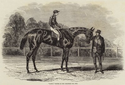 Nancy, vítěz Goodwood Cup, 1851 od Benjamin Herring