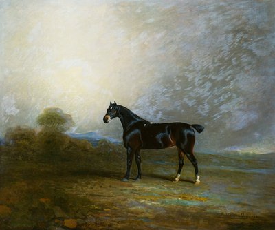 Bembo, oblíbený lovec Charlese Shuttlewortha, Esq., 1802 od Benjamin Marshall