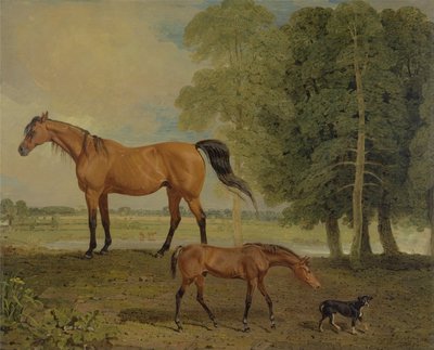 Broodmare s hříbětem a teriérem (olej na plátně) od Benjamin Marshall