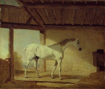 Kůň hraběte z Coventry, 1805. od Benjamin Marshall